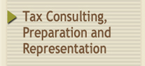 Tax Consulting, Preparation and Representation